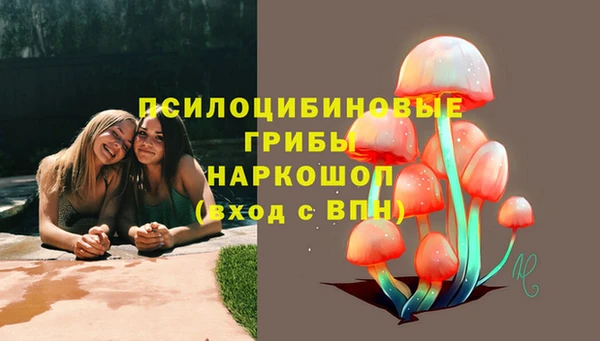 винт Абинск