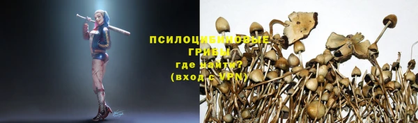 mdpv Снежногорск