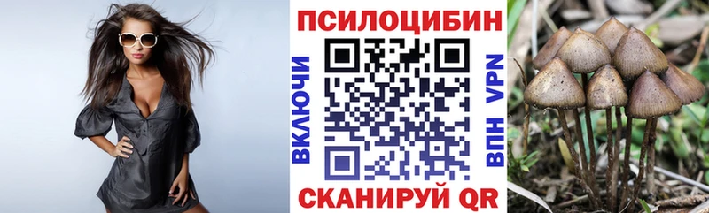 Галлюциногенные грибы GOLDEN TEACHER  kraken сайт  Ивантеевка 