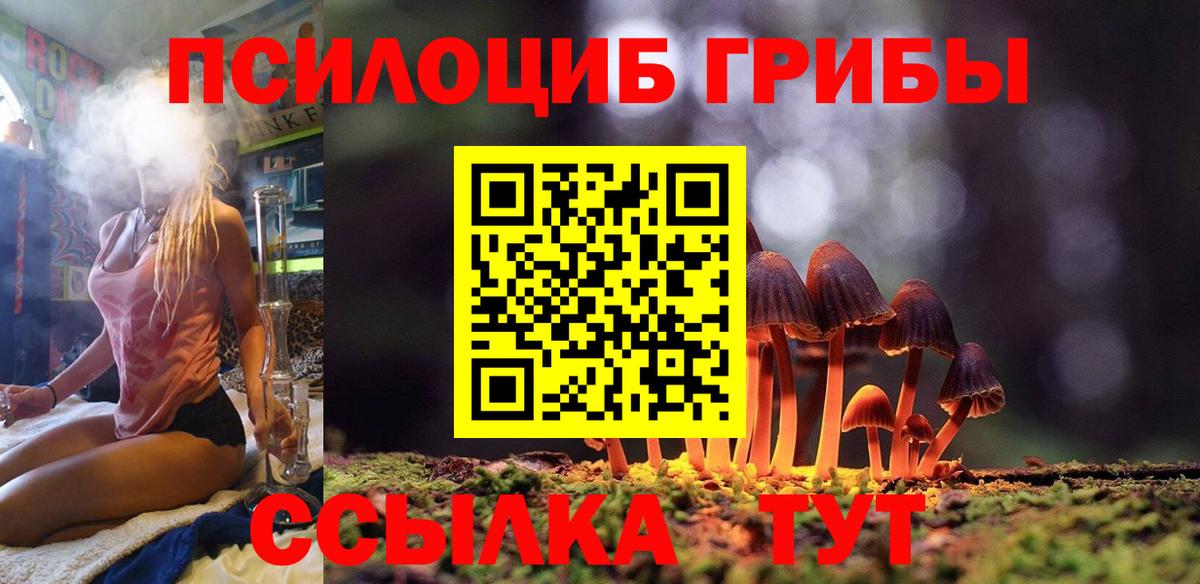Галлюциногенные грибы GOLDEN TEACHER  Вход с VPN  Ивантеевка 